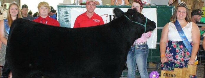 noble county fair.2014