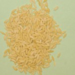 Orzo