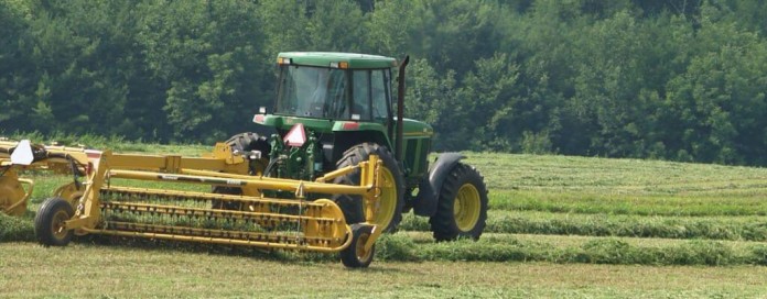 raking hay raking hay