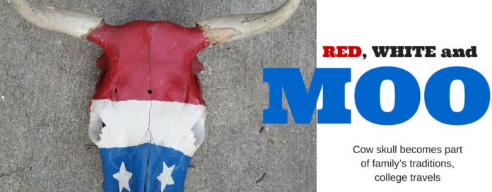 Red, white and blue cow skull Red, white and blue cow skull