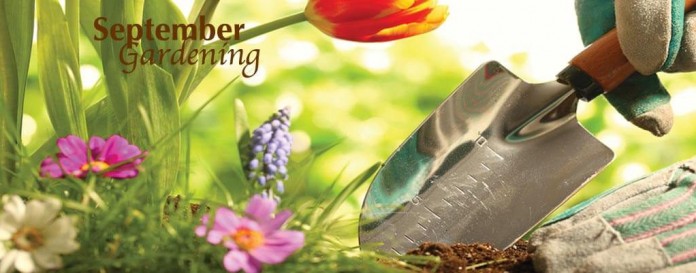 september gardening september gardening