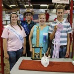 Reserve rabbit fryer project