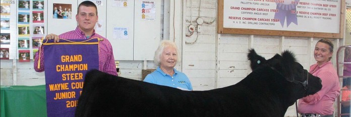 Wayne County Champion Steer Wayne County Champion Steer