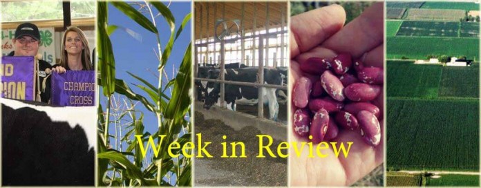 Week in review 9/5 Week in review 9/5