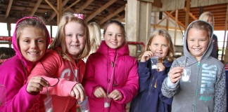 Soybean necklaces