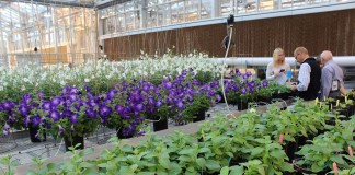 Greenhouse