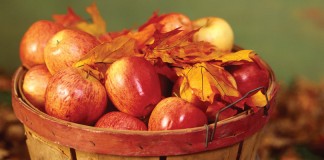 basket of apples