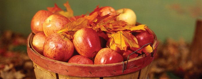 basket of apples
