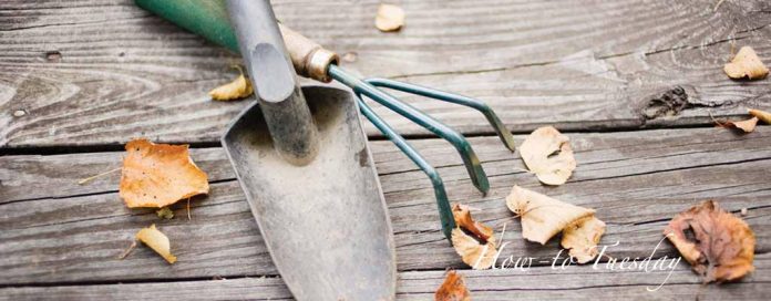 garden tools and fall leaves garden tools and fall leaves
