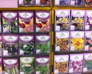 heirloom seed packets