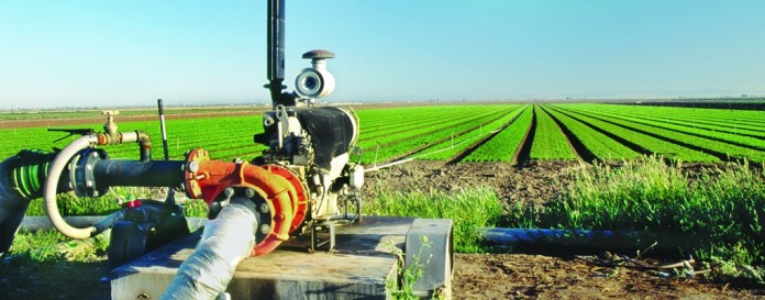 irrigation