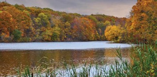 lake with trees changing colors