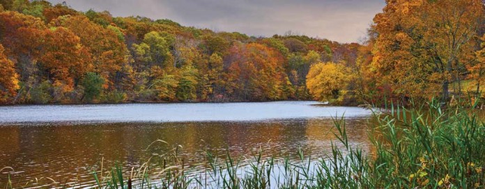 lake with trees changing colors lake with trees changing colors