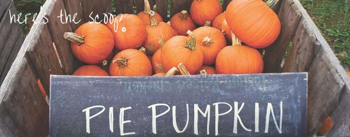 pie pumpkins in crate pie pumpkins in crate