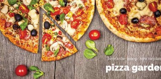 pizzas on wood table