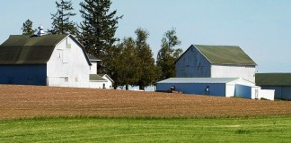 rural farm scene