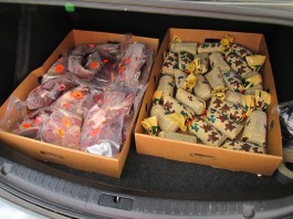 Deer venison