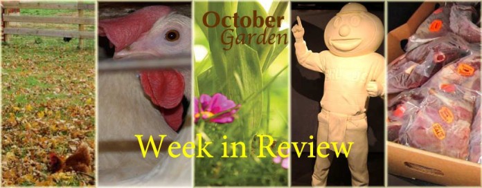 Week in Review 10/9 Week in Review 10/9