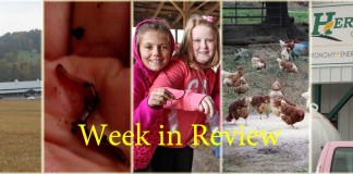 Week in review: 10/17