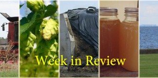 Week in Review 10/24 collage