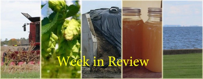 Week in Review 10/24 Week in Review 10/24 collage