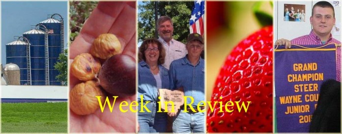 Week in Review 10/3 Week in Review 10/3