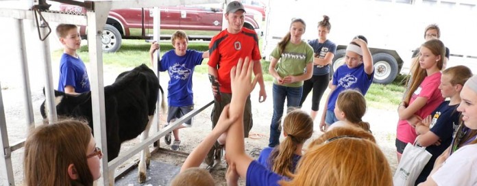 DairyPalooza cow clipping DairyPalooza cow clipping
