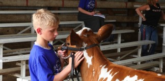 DairyPalooza