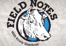 Field Notes video series survey Field Notes