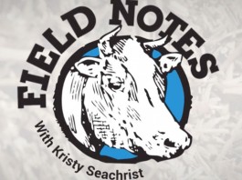 Field Notes