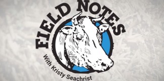 Field Notes
