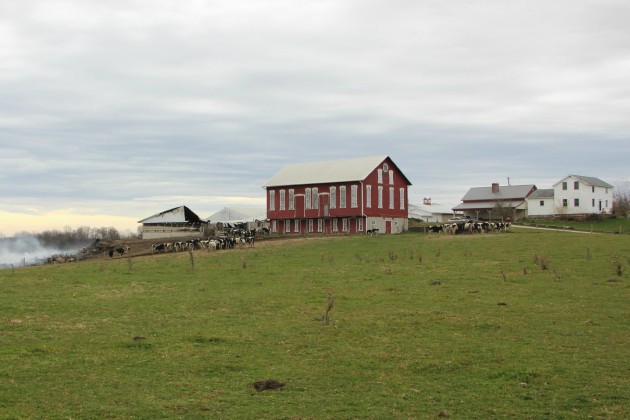 Holmes County Farm
