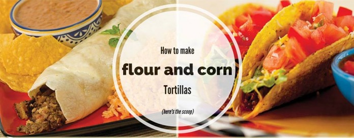 burrito and tacos burrito and tacos