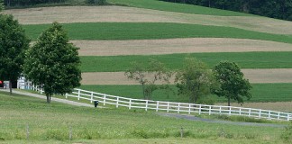 contour strips on Holmes County farm