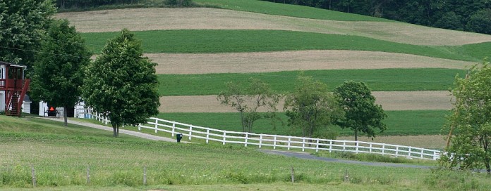 contour strips.holmes county farmlandJPG contour strips on Holmes County farm