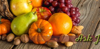 cornucopia