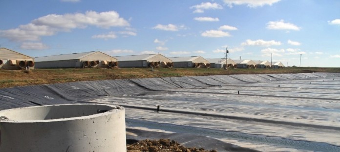 Covered Lagoon at Ruckman Farm - Roeslein Alternative Energy Covered Lagoon at Ruckman Farm