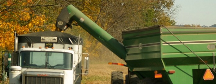 unloading corn into semi unloading corn into semi