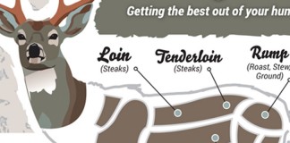 venison graphic