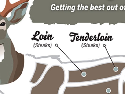 venison graphic