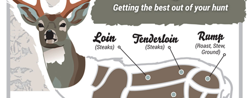 venison venison graphic