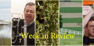 Week in Review collage for 11/21/15