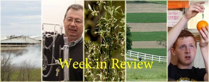 Week in Review 11/21 Week in Review collage for 11/21/15