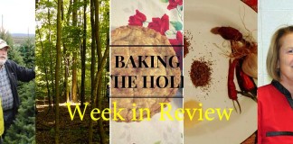 week in review collage 11/28