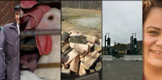 5 top stories collage for Dec. 12, 2015