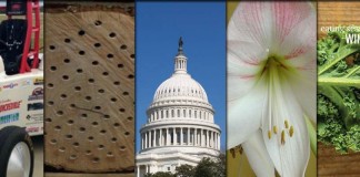 5 stories collage for Dec. 26, 2015