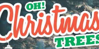 Christmas trees header