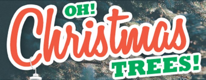 Christmas trees header Christmas trees header