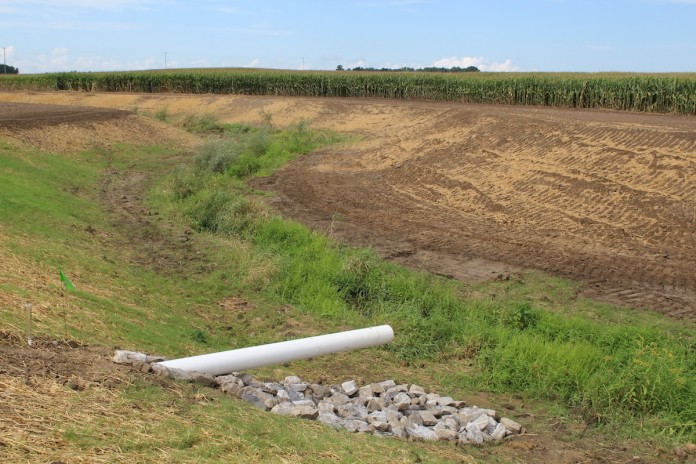 Ditch 1 Draiange ditch
