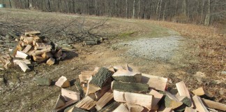 Green wood.